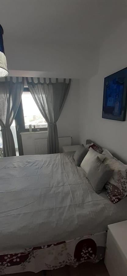 Apartament Central. Bloc Nou. Apartment Bacau Exterior photo